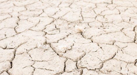 Klimaschutz im Religionsunterricht?