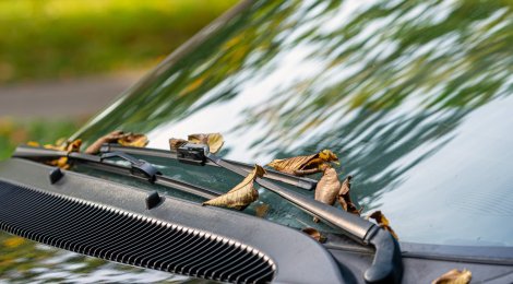 No-Gos und Tipps fürs sichere Autofahren