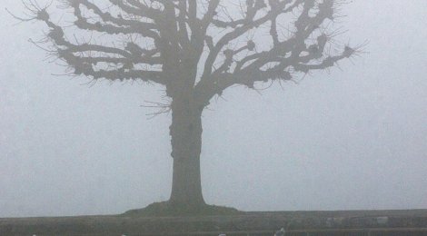 Altersdepression – Teil 1