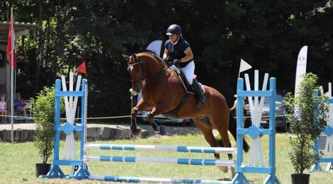 Wie Lestons Pferdezucht und Lohnarbeit unter einen Hut bringen