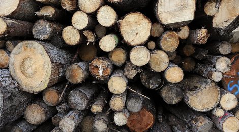 Holzschnitt einfach gemacht