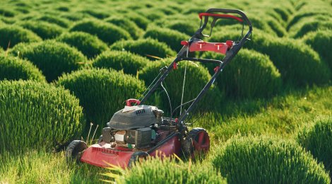 Rasenpflege im Frühling-Mit diesen Tipps zur idealen Grünfläche