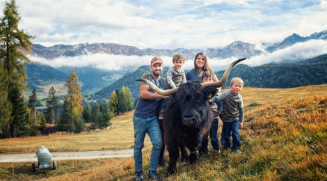Schottisches Flair im Unterengadin: Hochlandrinder bei Giani Schorta