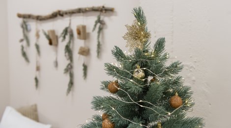 Tipps zur Suche nach dem richtigen Christbaum