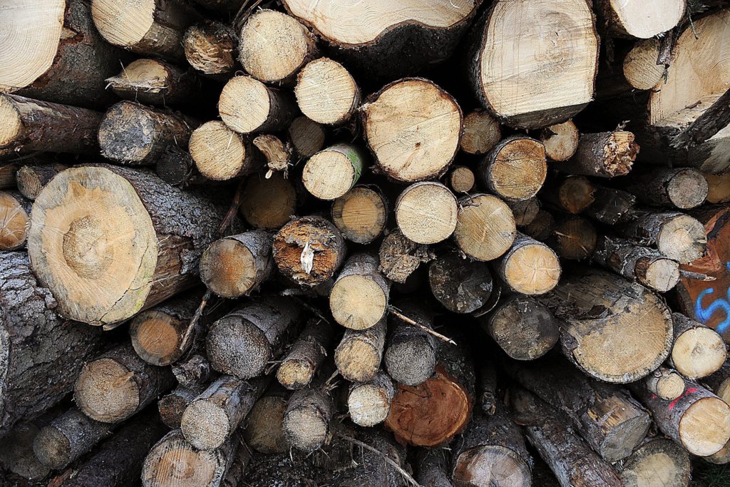 Holz Bild von Marco Hartmann