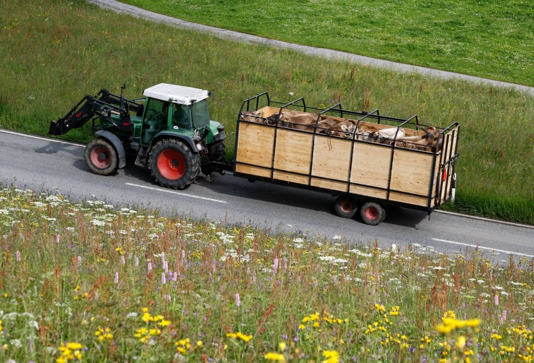 Ein Traktor versperrt den Weg – was nun?