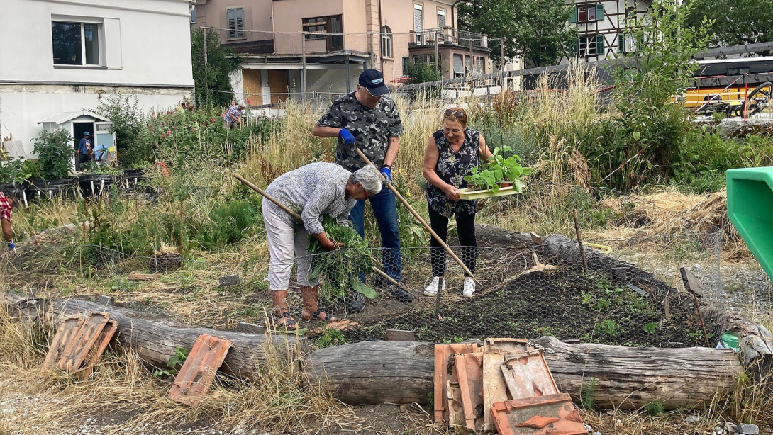 Pflanzen säen und giessen: Ein Integrationsprojekt im Garten