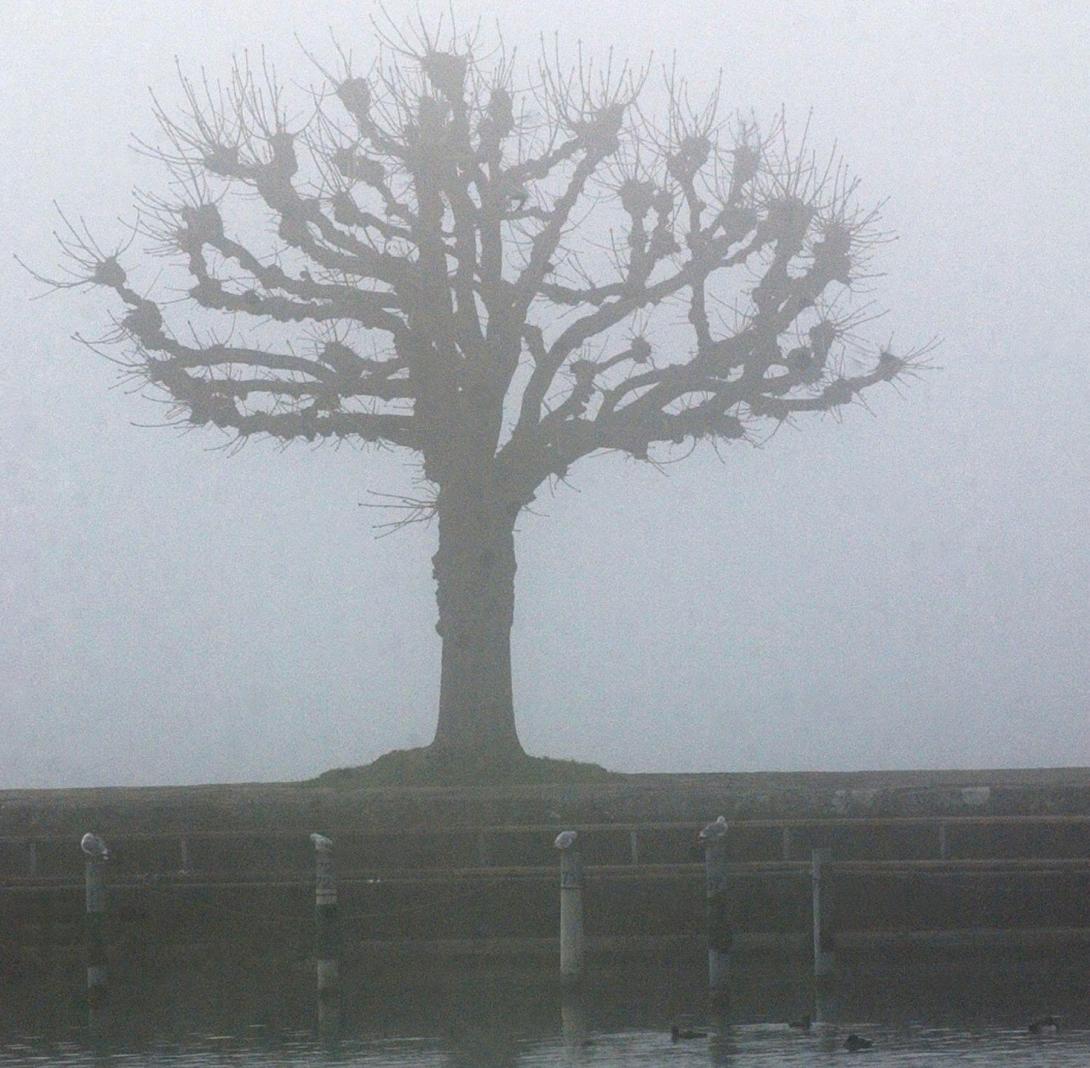 Altersdepression – Teil 1