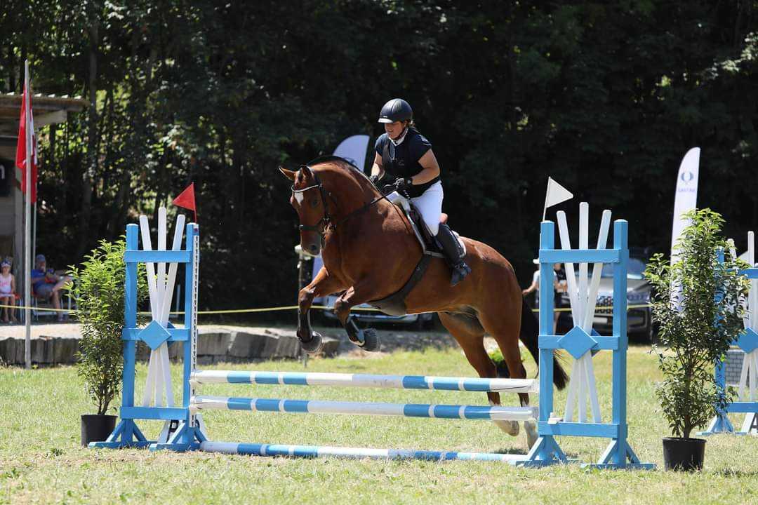 Wie Lestons Pferdezucht und Lohnarbeit unter einen Hut bringen