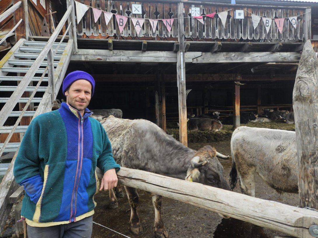 Drei Jahre Biohof:  Samuel Hauenstein beliefert das Engadin mit frischem Gemüse