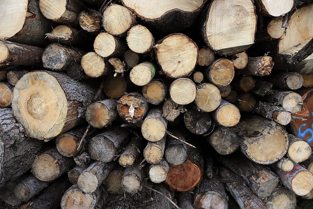 Holzschnitt einfach gemacht