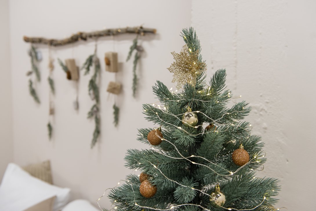 Tipps zur Suche nach dem richtigen Christbaum