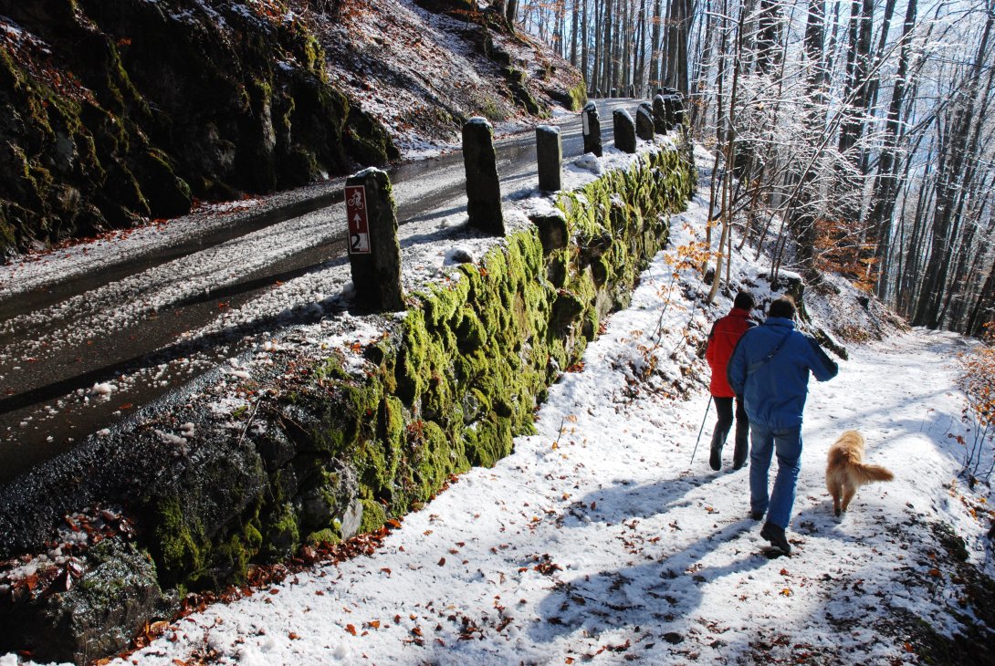 Winterwandern mit Genuss